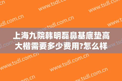 上海九院韩明磊鼻基底垫高大楷需要多少费用?怎么样?(上海九院垫鼻梁价格)