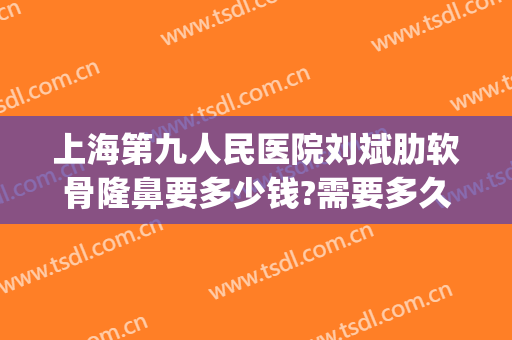 上海第九人民医院刘斌肋软骨隆鼻要多少钱?需要多久恢复?(上海九院肋骨隆鼻价格)
