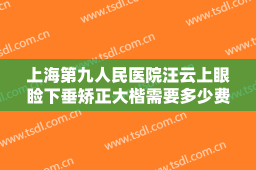 上海第九人民医院汪云上眼睑下垂矫正大楷需要多少费用?效果怎么样?