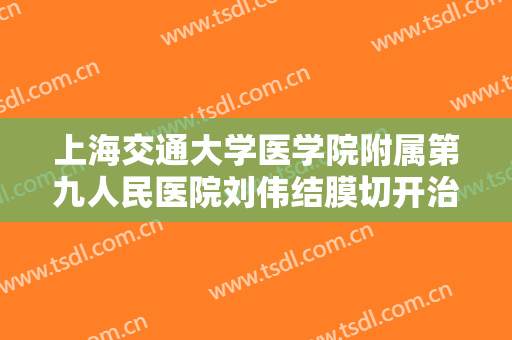 上海交通大学医学院附属第九人民医院刘伟结膜切开治疗眼袋一般价位是多少?需要多久恢复?