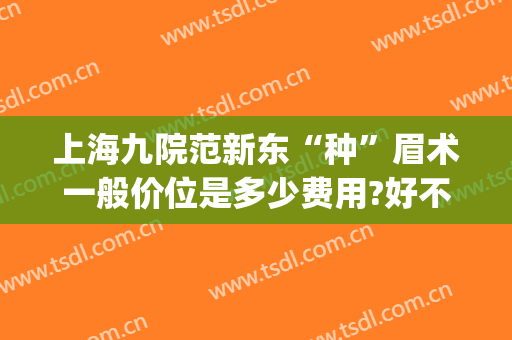 上海九院范新东“种”眉术一般价位是多少费用?好不好?(上海九院植眉多少钱)