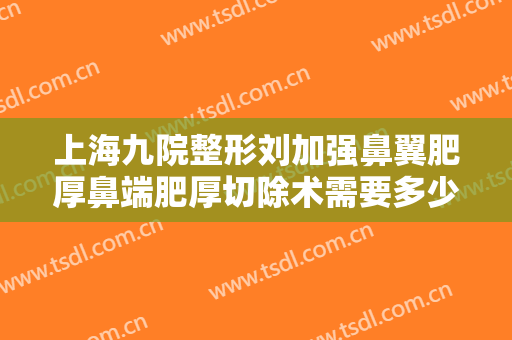 上海九院整形刘加强鼻翼肥厚鼻端肥厚切除术需要多少费用?有哪些优势?