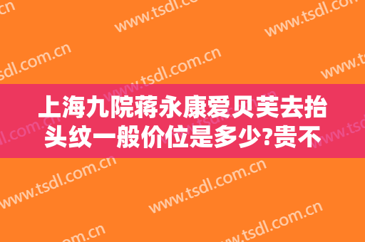上海九院蒋永康爱贝芙去抬头纹一般价位是多少?贵不贵?