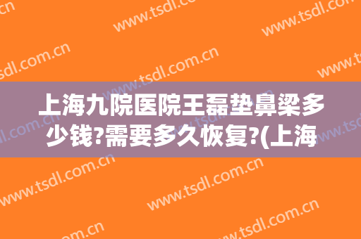 上海九院医院王磊垫鼻梁多少钱?需要多久恢复?(上海九院王炜做鼻子怎么样)
