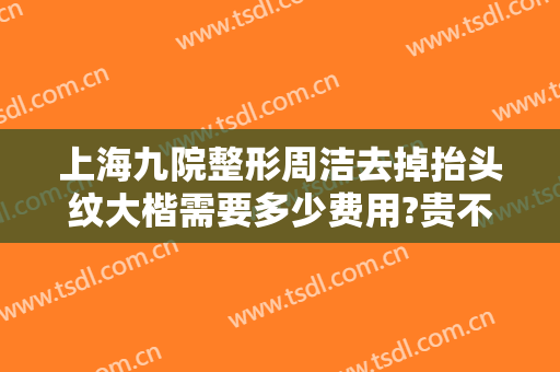 上海九院整形周洁去掉抬头纹大楷需要多少费用?贵不贵?