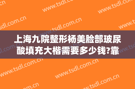 上海九院整形杨美脸部玻尿酸填充大楷需要多少钱?靠谱吗?(上海整形医院九院整形价位)
