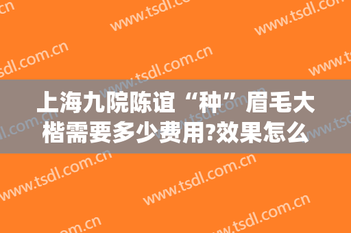 上海九院陈谊“种”眉毛大楷需要多少费用?效果怎么样?(上海九院提眉多少钱)