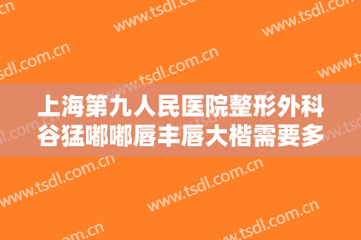 上海第九人民医院整形外科谷猛嘟嘟唇丰唇大楷需要多少费用?怎么样?