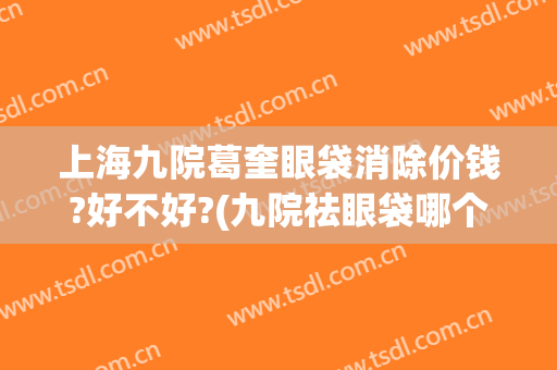 上海九院葛奎眼袋消除价钱?好不好?(九院祛眼袋哪个大夫好)