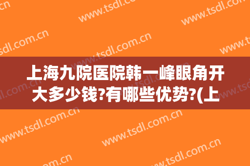 上海九院医院韩一峰眼角开大多少钱?有哪些优势?(上海九院做个眼综合多少钱)
