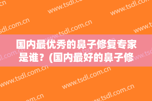 国内最优秀的鼻子修复专家是谁？(国内最好的鼻子修复专家排名)