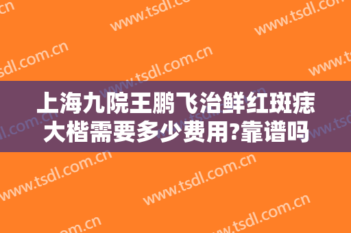 上海九院王鹏飞治鲜红斑痣大楷需要多少费用?靠谱吗?
