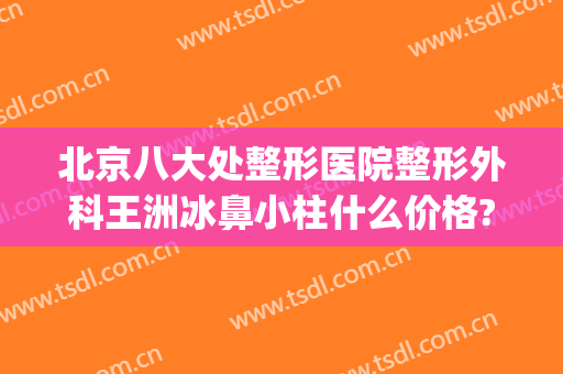 北京八大处整形医院整形外科王洲冰鼻小柱什么价格?有哪些优势?(北京八大处整形医疗美容医院)