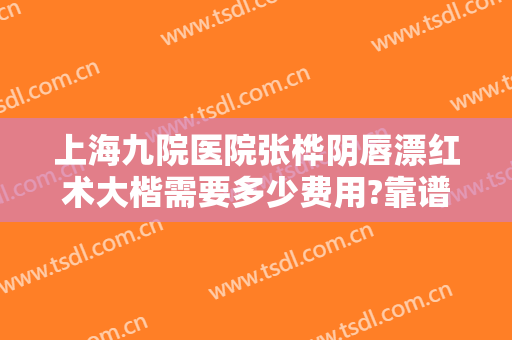 上海九院医院张桦阴唇漂红术大楷需要多少费用?靠谱吗?