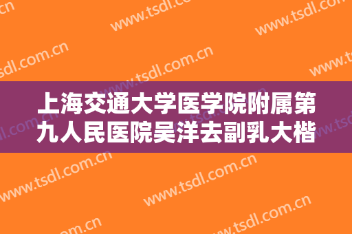 上海交通大学医学院附属第九人民医院吴洋去副乳大楷需要多少费用?好不好?