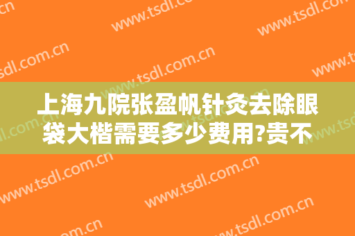 上海九院张盈帆针灸去除眼袋大楷需要多少费用?贵不贵?