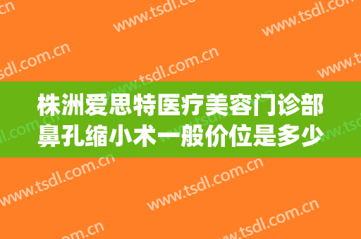 株洲爱思特医疗美容门诊部鼻孔缩小术一般价位是多少钱?靠谱吗?(丝芙兰有雪花秀气垫吗)