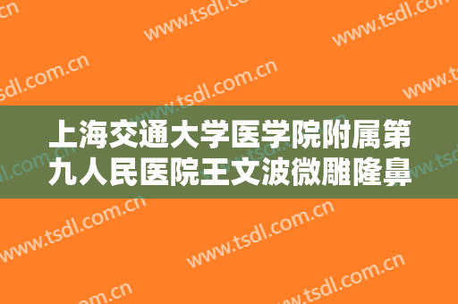 上海交通大学医学院附属第九人民医院王文波微雕隆鼻一般价位是多少?好不好?