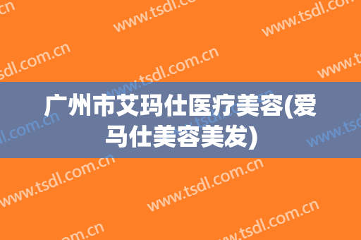 广州市艾玛仕医疗美容(爱马仕美容美发)