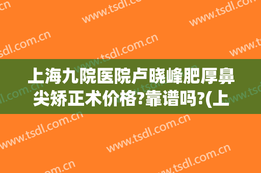 上海九院医院卢晓峰肥厚鼻尖矫正术价格?靠谱吗?(上海九院鼻梁骨矫正)