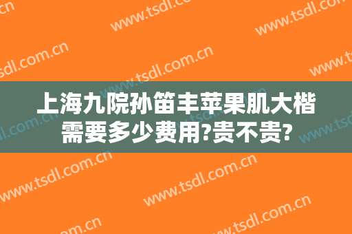 上海九院孙笛丰苹果肌大楷需要多少费用?贵不贵?