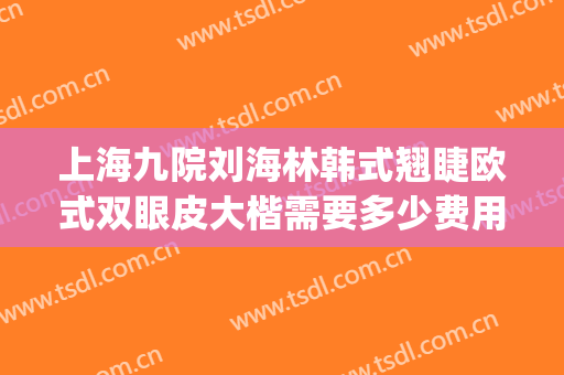 上海九院刘海林韩式翘睫欧式双眼皮大楷需要多少费用?可靠吗?(上海九院割双眼皮费用)