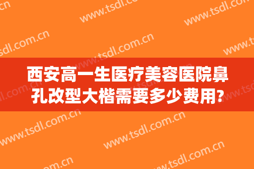 西安高一生医疗美容医院鼻孔改型大楷需要多少费用?好不好?(西安高一生隆鼻怎样)