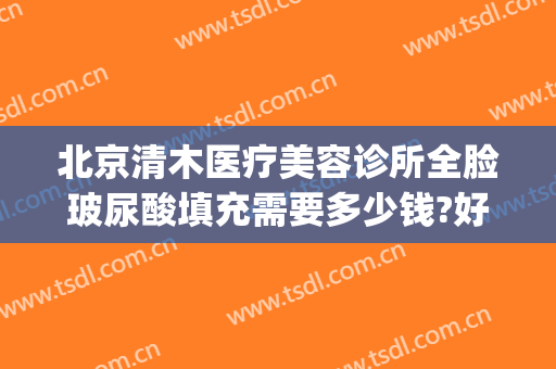 北京清木医疗美容诊所全脸玻尿酸填充需要多少钱?好不好?(清木整形整容医疗美容诊所)