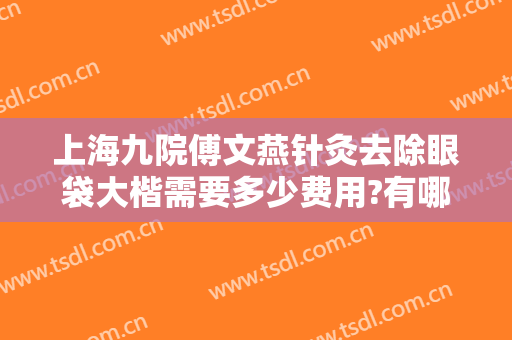 上海九院傅文燕针灸去除眼袋大楷需要多少费用?有哪些优势?