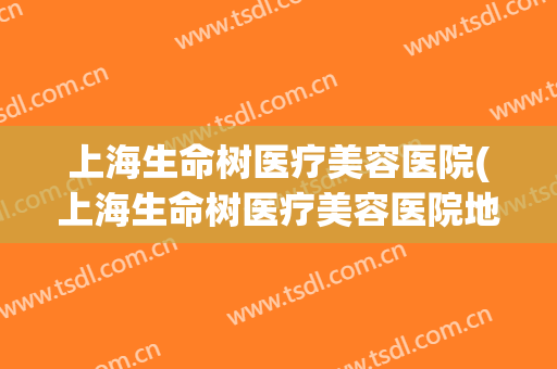 上海生命树医疗美容医院(上海生命树医疗美容医院地址)