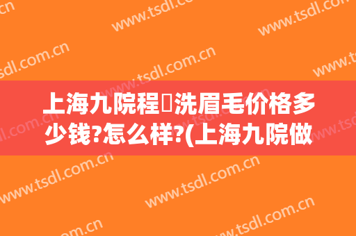 上海九院程昉洗眉毛价格多少钱?怎么样?(上海九院做提眉手术多少钱)