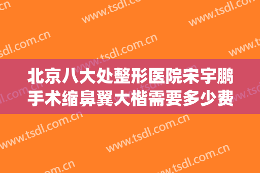 北京八大处整形医院宋宇鹏手术缩鼻翼大楷需要多少费用?贵不贵?(北京八大处整鼻子大概多少钱)