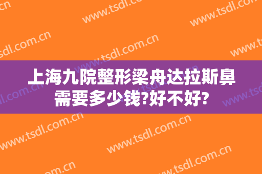 上海九院整形梁舟达拉斯鼻需要多少钱?好不好?