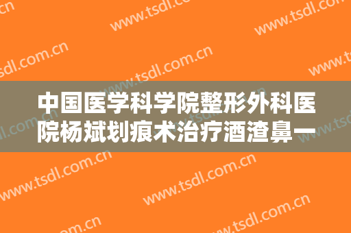 中国医学科学院整形外科医院杨斌划痕术治疗酒渣鼻一般多少费用?效果怎么样?