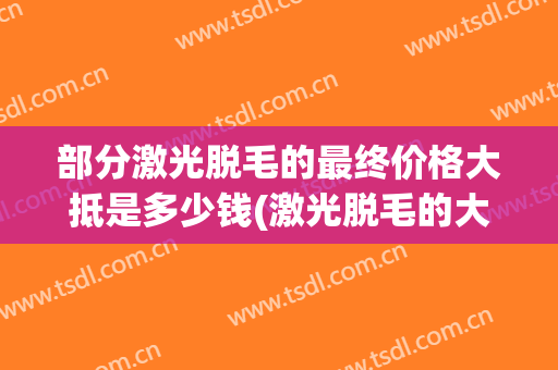 部分激光脱毛的最终价格大抵是多少钱(激光脱毛的大概价格)