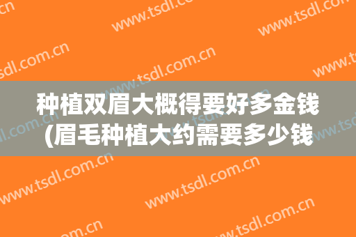 种植双眉大概得要好多金钱(眉毛种植大约需要多少钱)