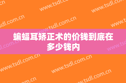 蝙蝠耳矫正术的价钱到底在多少钱内