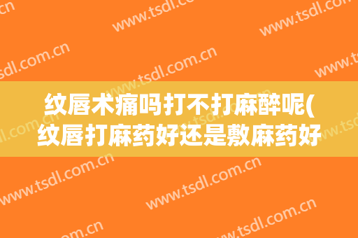 纹唇术痛吗打不打麻醉呢(纹唇打麻药好还是敷麻药好)