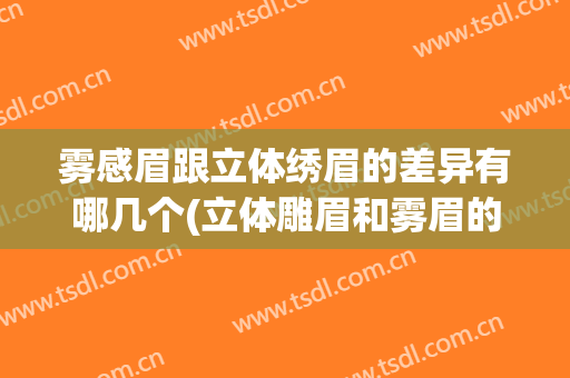 雾感眉跟立体绣眉的差异有哪几个(立体雕眉和雾眉的区别)