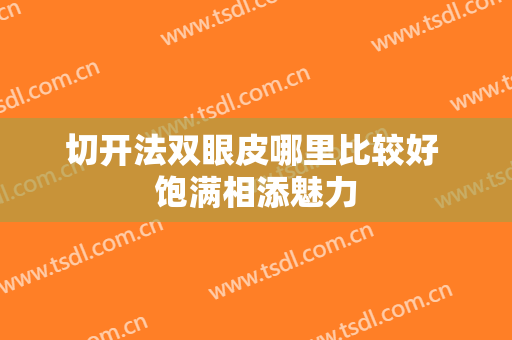 切开法双眼皮哪里比较好 饱满相添魅力