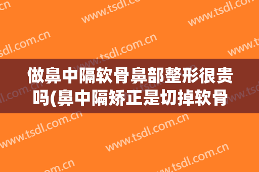 做鼻中隔软骨鼻部整形很贵吗(鼻中隔矫正是切掉软骨吗)