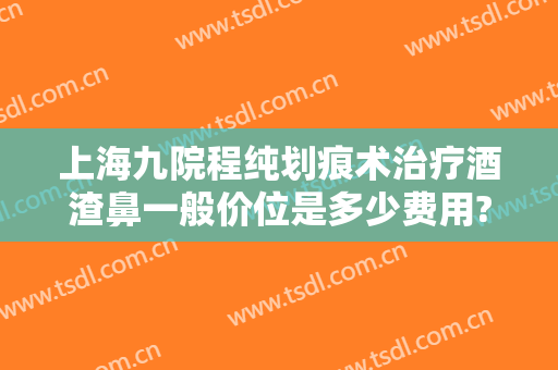 上海九院程纯划痕术治疗酒渣鼻一般价位是多少费用?效果怎么样?