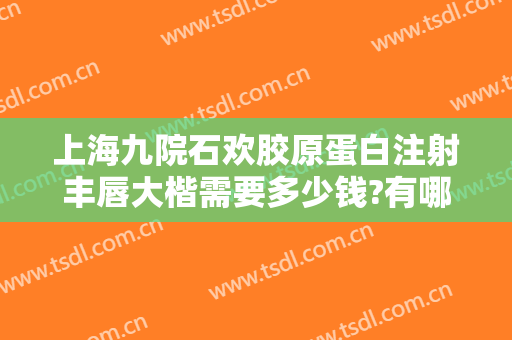 上海九院石欢胶原蛋白注射丰唇大楷需要多少钱?有哪些优势?