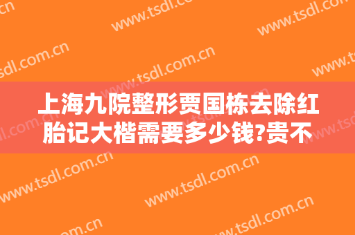 上海九院整形贾国栋去除红胎记大楷需要多少钱?贵不贵?