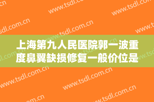 上海第九人民医院郭一波重度鼻翼缺损修复一般价位是多少?怎么样?(上海九院缩鼻翼多少钱)