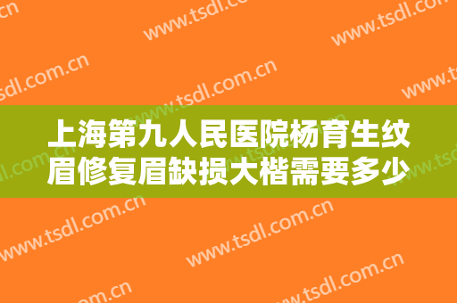 上海第九人民医院杨育生纹眉修复眉缺损大楷需要多少钱?有哪些优势?