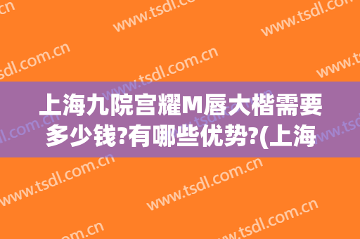 上海九院宫耀M唇大楷需要多少钱?有哪些优势?(上海九院做m唇怎么样)