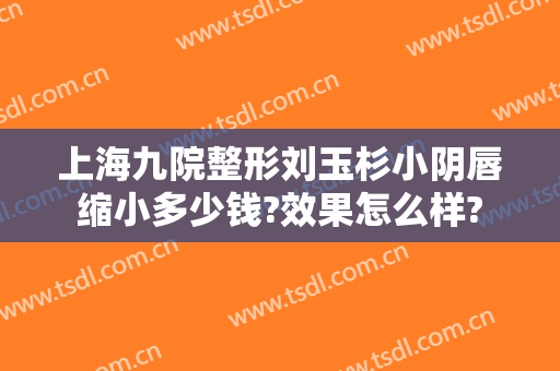 上海九院整形刘玉杉小阴唇缩小多少钱?效果怎么样?