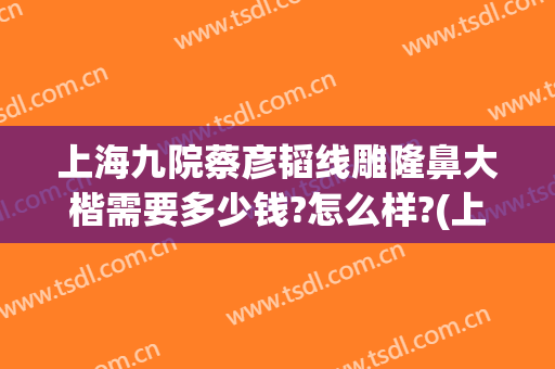 上海九院蔡彦韬线雕隆鼻大楷需要多少钱?怎么样?(上海九院做隆鼻多少钱)