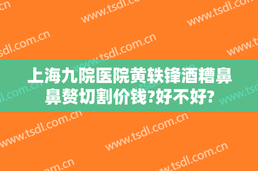 上海九院医院黄轶锋酒糟鼻鼻赘切割价钱?好不好?